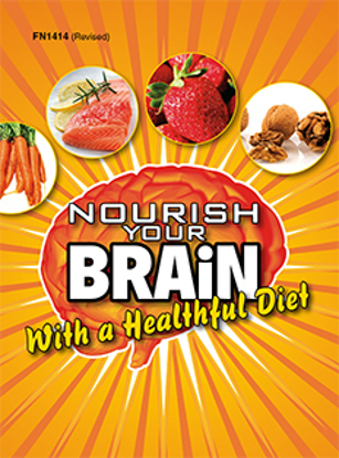 Picture of Nourish Your Brain
