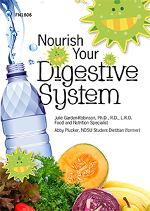 Picture of Nourish Your Digestive System