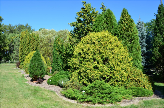 photo of NDSU Arb