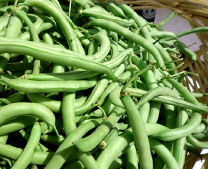 Picture of 01. Green Bush Bean