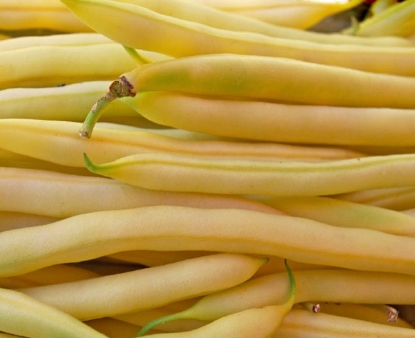 Picture of 03. Yellow Bush Bean