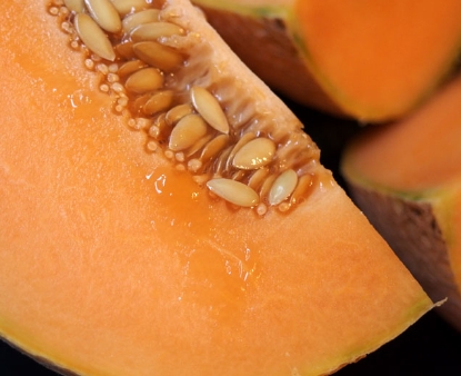 Picture of 07. Open-Pollinated Cantaloupe