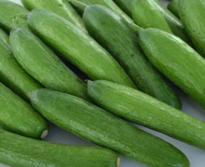 Picture of 18. Snack Cucumber