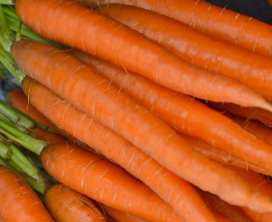 Picture of 11. Bunching Carrot