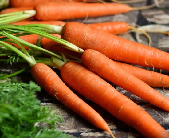 Picture of 10. Nantes Carrot