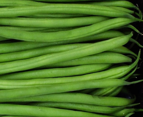 Picture of 03. Green Filet Organic Bush