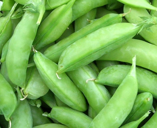 Picture of 28. Snap Pea