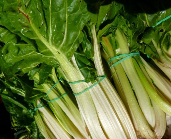 Picture of 40. White Stem