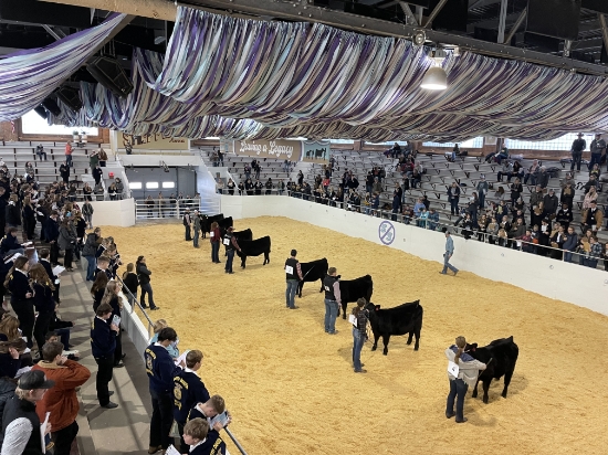 Picture of NDSU Ag Ed Society - Judging Club Winter Judging Contest 2026