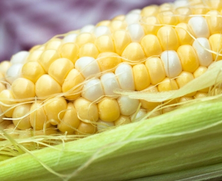Picture for category Corn (Super Sweet)