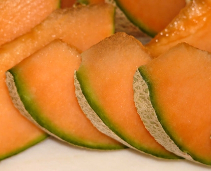 Open-Pollinated Cantaloupe