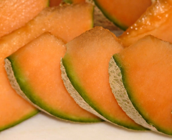 Open-Pollinated Cantaloupe