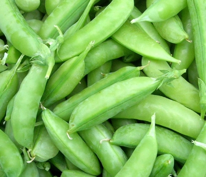 Snap Pea