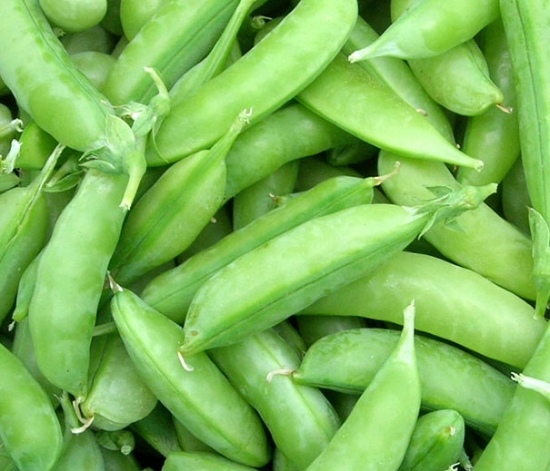Snap Pea