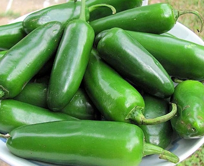 Jalapeno Hot Pepper