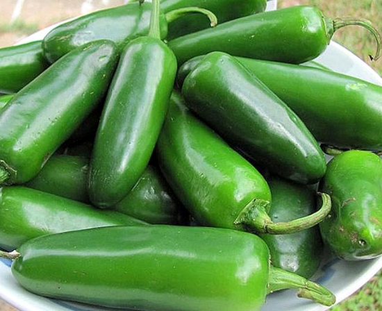 Jalapeno Hot Pepper