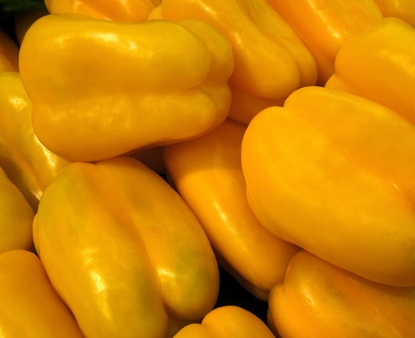 Green/Yellow Sweet Bell Pepper
