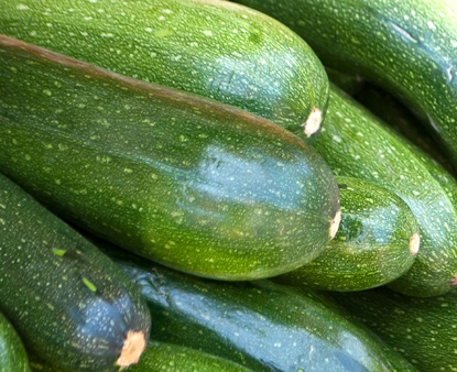 Green Zucchini Summer Squash
