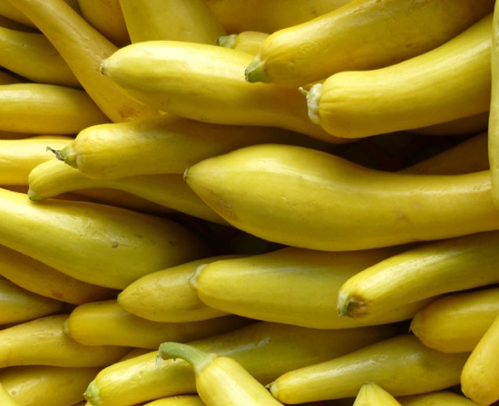 Yellow Straightneck Summer Squash