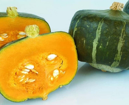 Buttercup Winter Squash