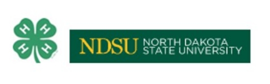 Picture of 4-H Youth Development Sponsorship & Curriculum Tools
